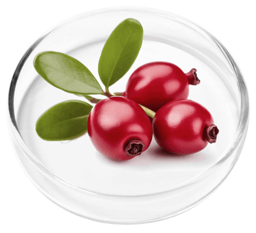  Femipro ingredient 2